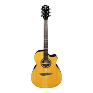 Takle M-520 Guitar